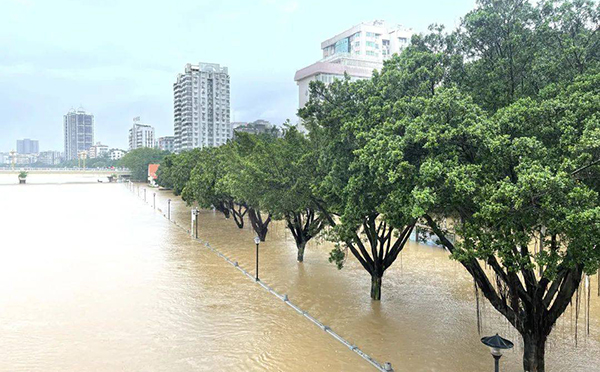 城市治理不再難|萬賓城市內澇積水監測系統 (圖1)