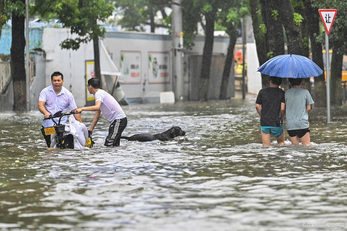 暴雨來襲|城市內澇監測系統顯身手(圖1)