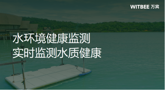 水環境健康監測，實時監測水質健康(圖1)